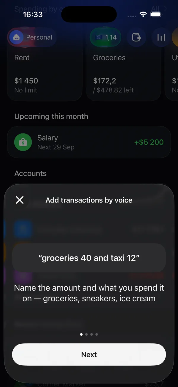 Expensa voice entry guide with an example of groceries and taxi expenses